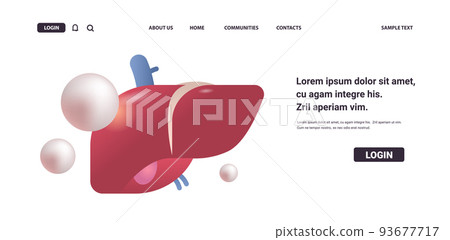 anatomical liver icon human body internal organ anatomy medicine healthcare concept anatomical liver icon human body internal organ anatomy medicine healthcare concept 93677717