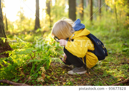 Preschooler boy is exploring nature with magnifying glass. Little child is looking on leaf of fern with magnifier. Vacation for inquisitive kids in forest. Hiking. Boy-scout 93677828