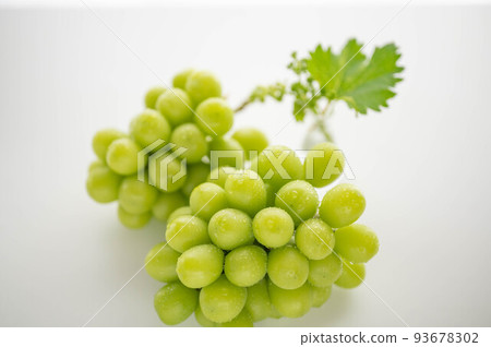 King of Grapes Shine Muscat 93678302