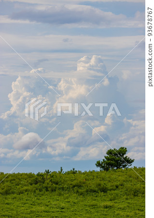Summer clouds and meadows (Yufuin, Yufu City, Oita Prefecture) Summer clouds and meadows (Yufuin, Yufu City, Oita Prefecture) 93678767