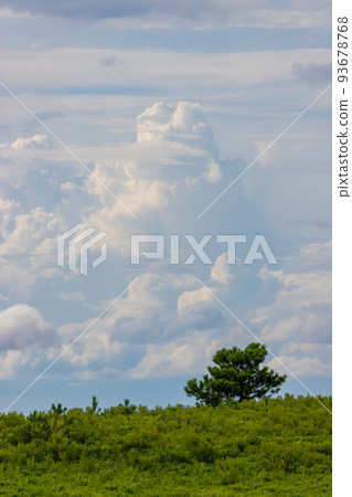 Summer clouds and meadows (Yufuin, Yufu City, Oita Prefecture) 93678768