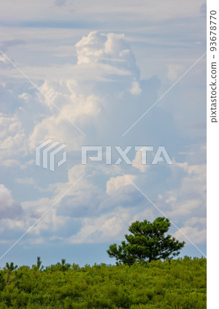 Summer clouds and meadows (Yufuin, Yufu City, Oita Prefecture) 93678770