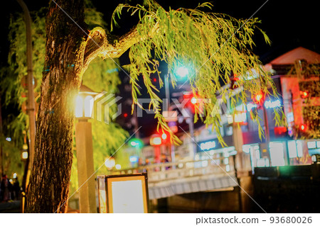 Lit up willow at night 93680026