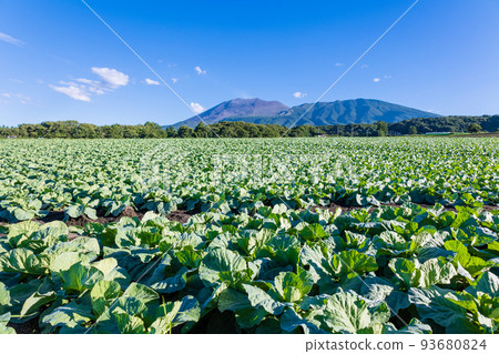 Mt. Asama and cabbage fields Mt. Asama and cabbage fields 93680824