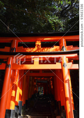 京都伏見稻荷神社 沐浴在夕陽中的一系列鳥居 京都伏見稻荷神社 沐浴在夕陽中的一系列鳥居 93681386