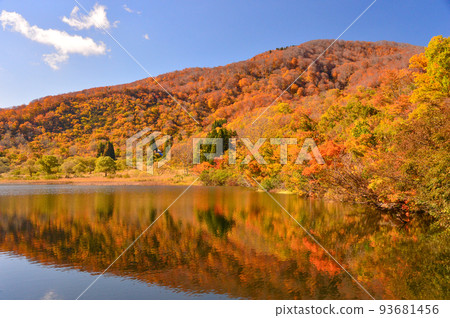 Autumn forest, lake, autumn leaves 93681456