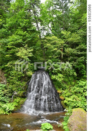 [Seikobu village sacred power spot "Gyoja no Taki"] 93681666