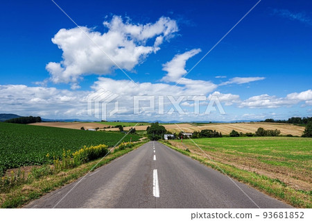 秋風吹起的美瑛丘陵（北海道美瑛町） 93681852