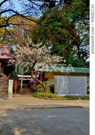 代代木八幡宮早春參拜者的風景 93682110