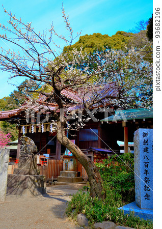 代代木八幡宮早春參拜者的風景 93682196