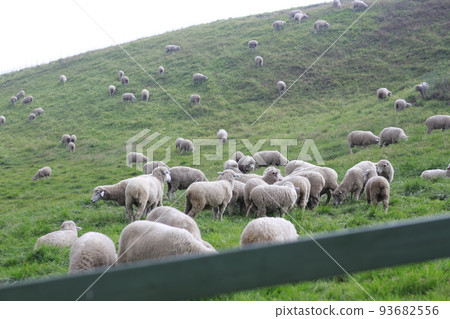 one's spirits, energy, grazing 93682556