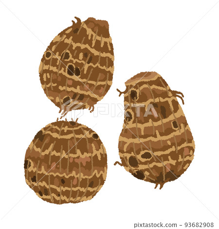 Illustration of taro 93682908