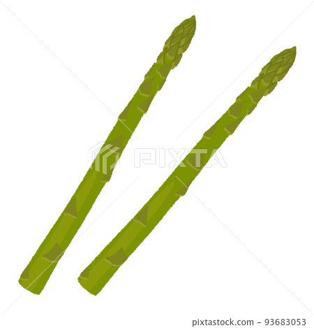 蘆筍的例證 93683053