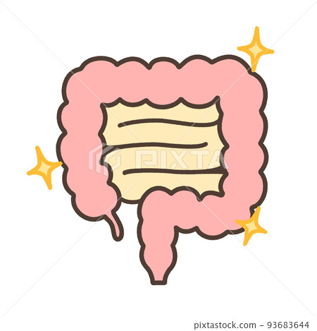 Healthy intestine 93683644