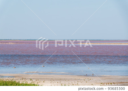 A beautiful salt lake with pink water. A beautiful salt lake with pink water. 93685300