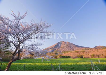Scenery of Japan (Fukushima Prefecture scenery, Mt. Bandai, Lake Inawashiro) 93685799