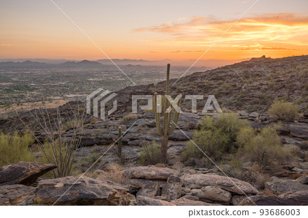 View of Phoenix with  Saguaro cactus 93686003
