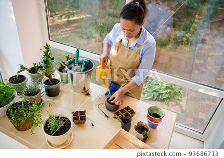 Top view. Hispanic woman, inspired florist, watering rosemary plant in a ceramic flower pot, taking care of houseplants, cultivated in the country house veranda. Floriculture. Horticulture. Gardening Top view. Hispanic woman, inspired florist, watering rosemary plant in a ceramic flower pot, taking care of houseplants, cultivated in the country house veranda. Floriculture. Horticulture. Gardening 93686713