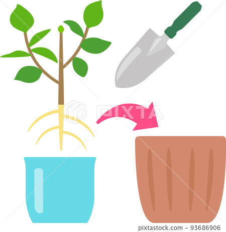 potted plant repotting potted plant repotting 93686906