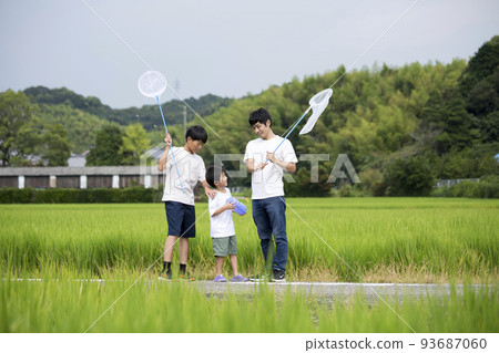 Summer vacation Parents and children collecting insects in the countryside where they are returning to their hometown Photographed on a footpath between rice fields Collecting dragonflies 93687060