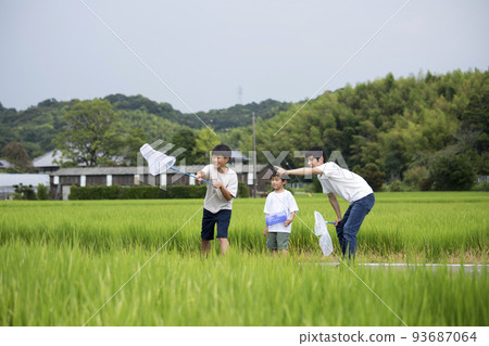 Summer vacation Parents and children collecting insects in the countryside where they are returning to their hometown Photographed on a footpath between rice fields Collecting dragonflies Summer vacation Parents and children collecting insects in the countryside where they are returning to their hometown Photographed on a footpath between rice fields Collecting dragonflies 93687064