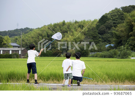 Summer vacation Parents and children collecting insects in the countryside where they are returning to their hometown Photographed on a footpath between rice fields Collecting dragonflies Summer vacation Parents and children collecting insects in the countryside where they are returning to their hometown Photographed on a footpath between rice fields Collecting dragonflies 93687065