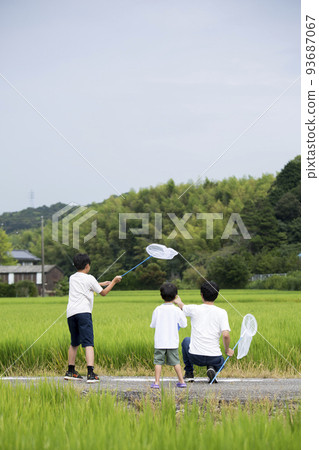 Summer vacation Parents and children collecting insects in the countryside where they are returning to their hometown Photographed on a footpath between rice fields Collecting dragonflies 93687067