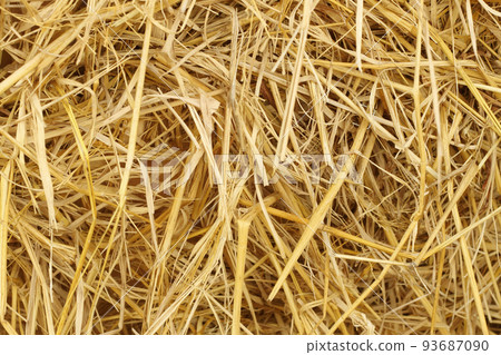 Dry straw texture for background and design art work, bales of cereal straw for cow and horse. 93687090