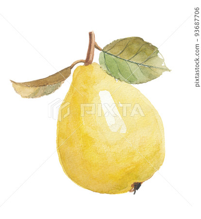 Karin Hanashi 93687706