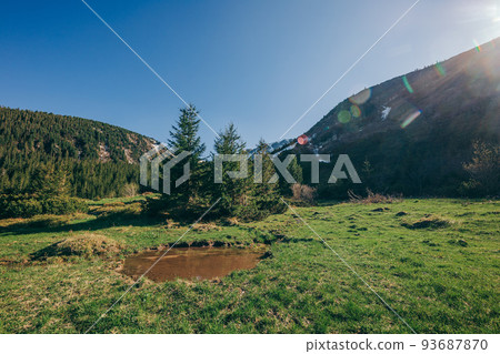 A train on a lush green field 93687870