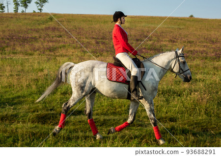 The horsewoman on a red horse. Horse riding. Horse racing. Rider on a horse. The horsewoman on a red horse. Horse riding. Horse racing. Rider on a horse. 93688291