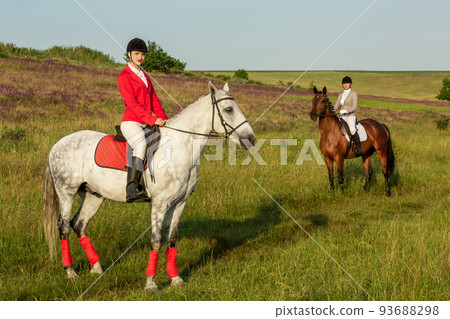 Horseback riders. Two attractive women ride horses on a green meadow Horseback riders. Two attractive women ride horses on a green meadow 93688298