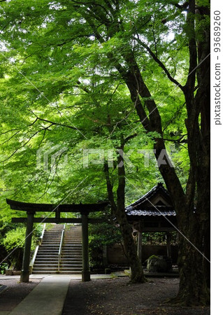 Hakusan City, Ishikawa Prefecture, inside the precincts of Kintsugu Shrine 93689260