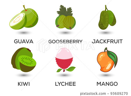 Set of fruits. Different colorful fruits. Fresh food, healthy eating concept. Vector illustration 93689270