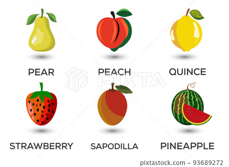 Set of fruits. Different colorful fruits. Fresh food, healthy eating concept. Vector illustration 93689272