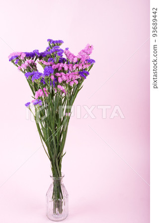 Bicolor trumpet flowers in a vase on a pink background 93689442