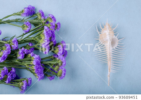 Purple trumpet flowers and mussel shells on light blue paper 93689451
