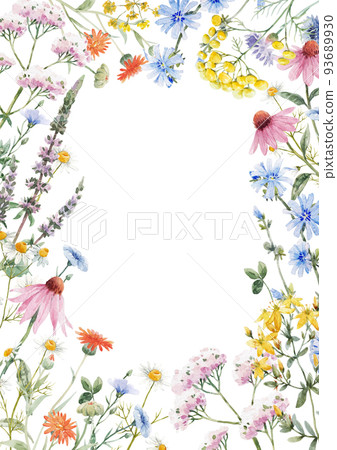 Beautiful floral frame with watercolor hand drawn summer wild field flowers. Stock illustration. Clip art. 93689930