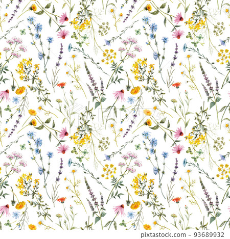Beautiful floral seamless pattern with watercolor hand drawn summer wild field flowers. Stock illustration. 93689932