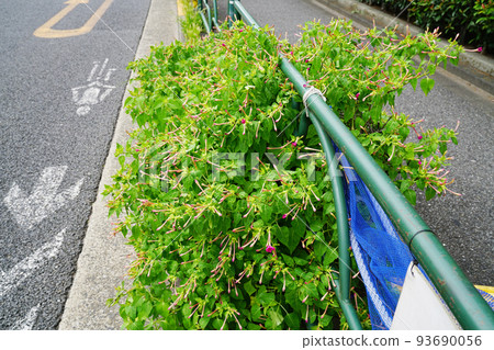 Osloi burner 93690056