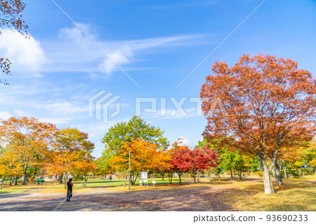 Nanakida 公園 秋葉 秋天 藍天 Nanakida 公園 秋葉 秋天 藍天 93690233