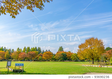 Nanakida 公園 秋葉 秋天 藍天 Nanakida 公園 秋葉 秋天 藍天 93690236