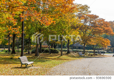 Nanakida Park Autumn Leaves 93690300