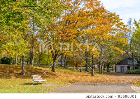 Nanakida公園秋葉 Nanakida公園秋葉 93690301
