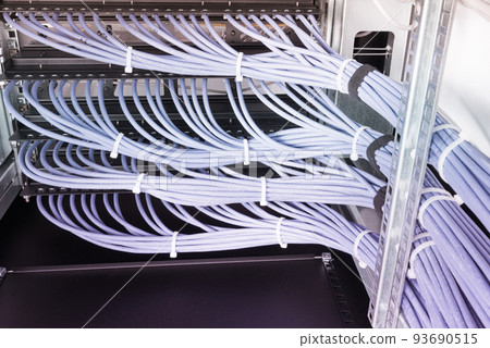 bunch of patch network cables sorted in rack cabinet, leading from patch panel in the server rack in the data center room 93690515
