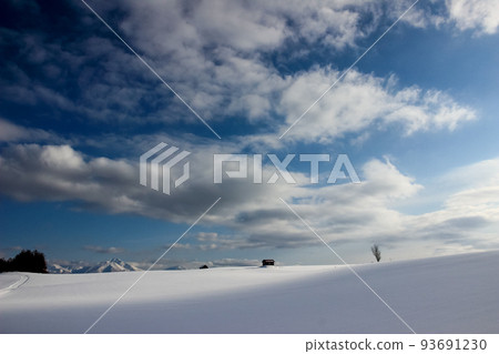 陽光明媚的雪原 陽光明媚的雪原 93691230
