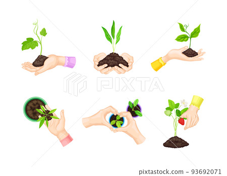 Hand Planting and Cultivating Young Sapling or Seedling Growing in Soil Vector Set 93692071