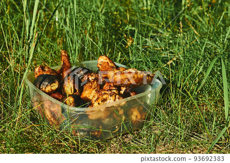 Plastic container with freshly fried meat, chicken and potatoes Plastic container with freshly fried meat, chicken and potatoes 93692383