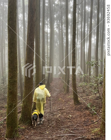 mountain walker mountain walker 93692458
