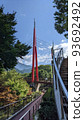 Fog forest 93692492